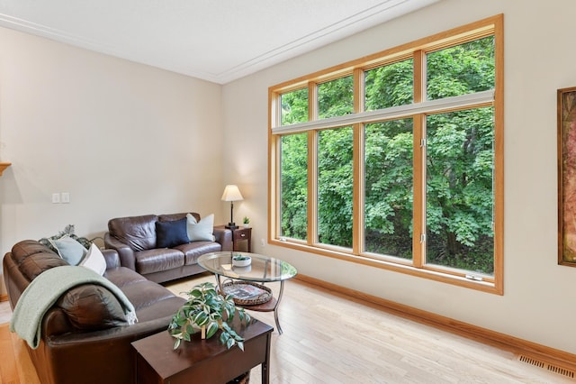 9534 Kirkwood Way N, Maple Grove, MN 55369 - living area featuring light wood-style floors and baseboards