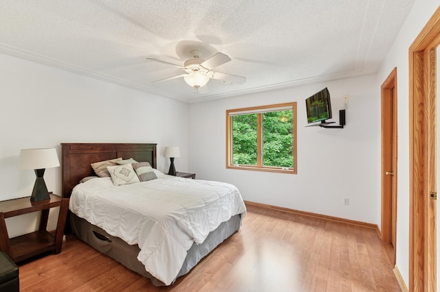 9534 Kirkwood Way N, Maple Grove, MN 55369 - bedroom featuring light wood finished floors, a ceiling fan, and a textured ceiling