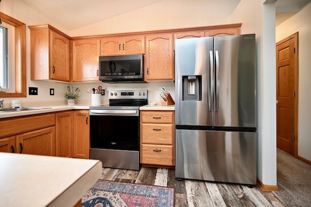 404 3rd Way SE, Dover, MN 55929 - kitchen with stainless steel appliances, vaulted ceiling, light countertops, and wood finished floors