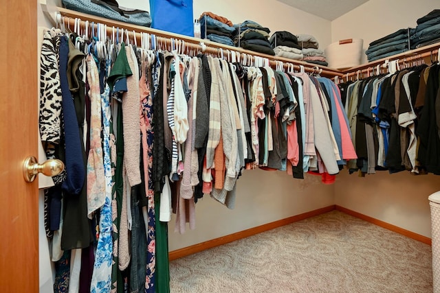 404 3rd Way SE, Dover, MN 55929 - spacious closet featuring carpet flooring