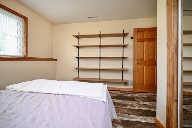 404 3rd Way SE, Dover, MN 55929 - bedroom with dark wood-style flooring