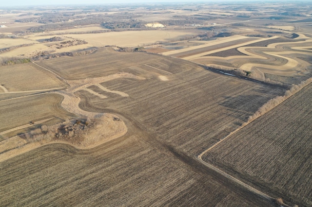 TBD 310th Ave, Elgin Twp, MN 55932