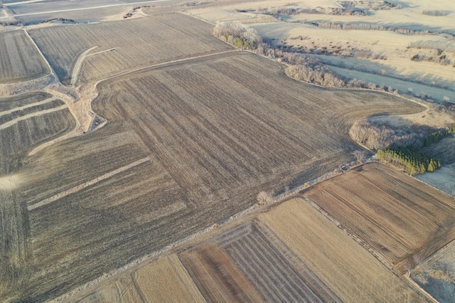 TBD 310th Ave, Elgin Twp, MN 55932