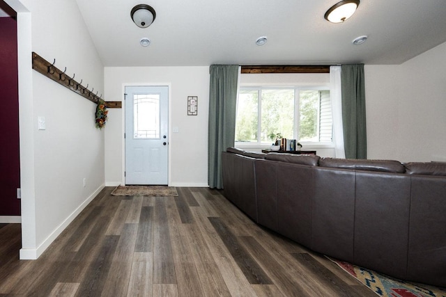 713 Prairie Wind Ave, Callaway, MN 56521 - foyer entrance featuring dark wood finished floors and healthy amount of natural light
