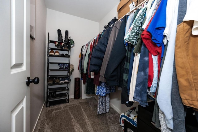 713 Prairie Wind Ave, Callaway, MN 56521 - walk in closet featuring carpet floors
