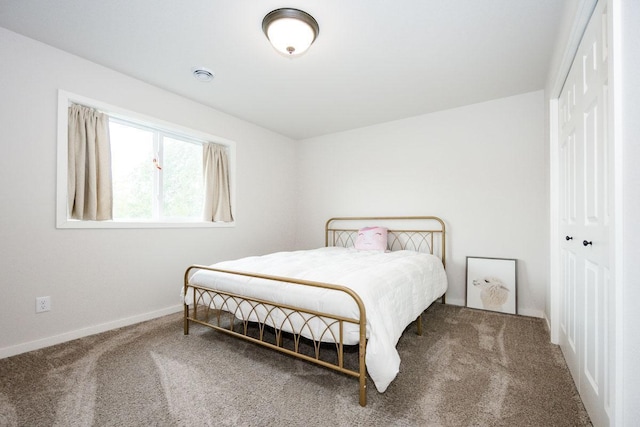713 Prairie Wind Ave, Callaway, MN 56521 - bedroom featuring carpet flooring and a closet
