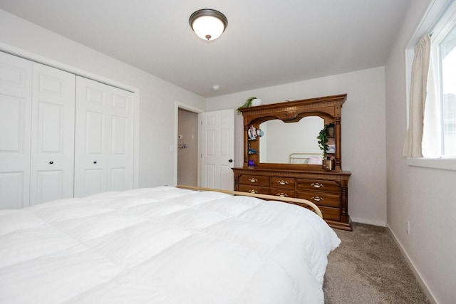 713 Prairie Wind Ave, Callaway, MN 56521 - bedroom with carpet floors, multiple windows, and a closet