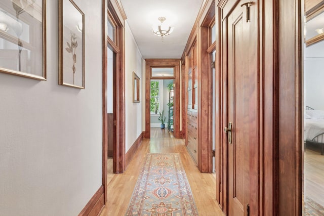 436 Holly Ave Unit 3, Saint Paul, MN 55102 - hallway featuring light wood-style floors and a chandelier