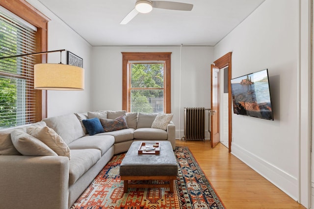 436 Holly Ave Unit 3, Saint Paul, MN 55102 - living area featuring radiator, light wood-style flooring, and a ceiling fan