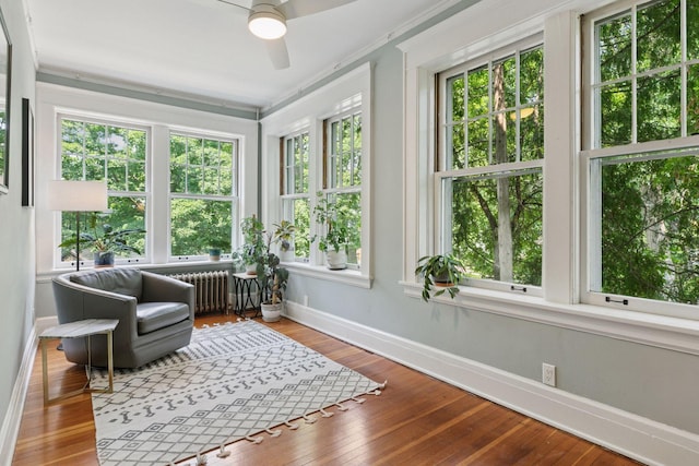 436 Holly Ave Unit 3, Saint Paul, MN 55102 - sunroom / solarium with plenty of natural light, hardwood / wood-style flooring, radiator, and ornamental molding