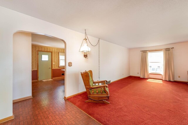 419 Jackson St, Saint Peter, MN 56082 - living area featuring arched walkways, healthy amount of natural light, and brick patterned floors