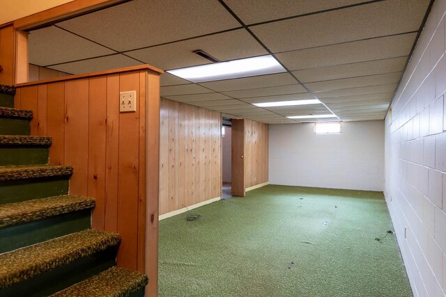 419 Jackson St, Saint Peter, MN 56082 - below grade area with stairs, carpet, and wooden walls