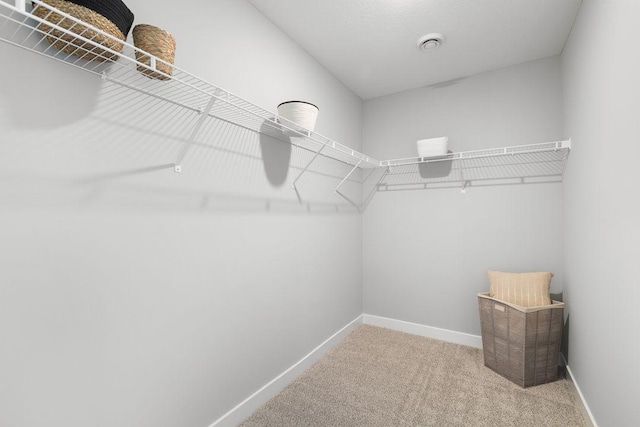 13640 Kaylemore Trl, Rosemount, MN 55068 - spacious closet with carpet flooring