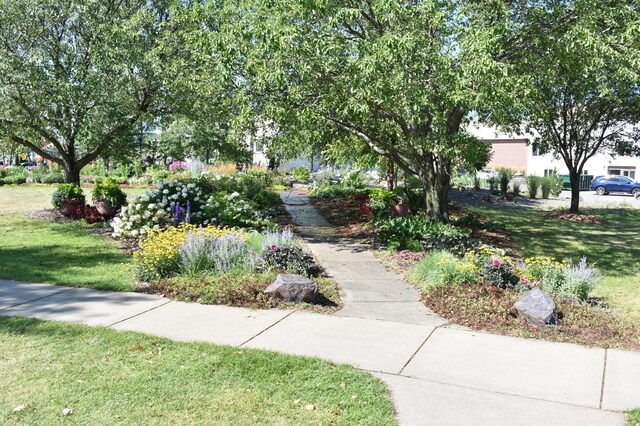13640 Kaylemore Trl, Rosemount, MN 55068 - view of community featuring a lawn
