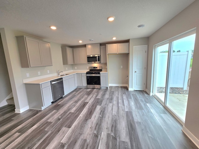 13636 Kaylemore Trl, Rosemount, MN 55068 - kitchen featuring stainless steel appliances, wood finished floors, recessed lighting, light countertops, and gray cabinetry
