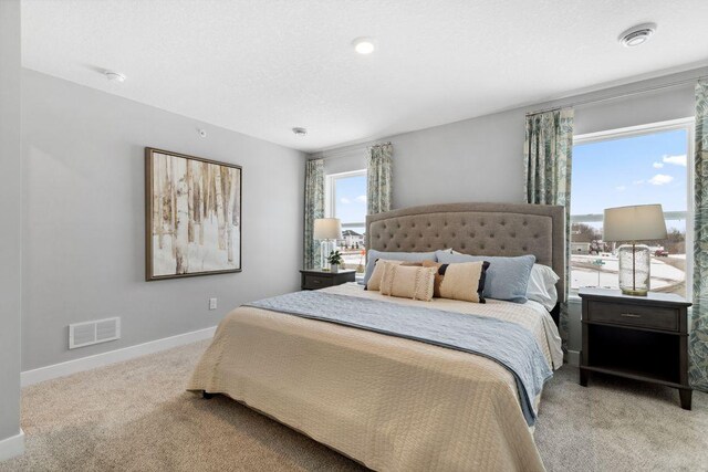13636 Kaylemore Trl, Rosemount, MN 55068 - bedroom featuring light carpet and baseboards