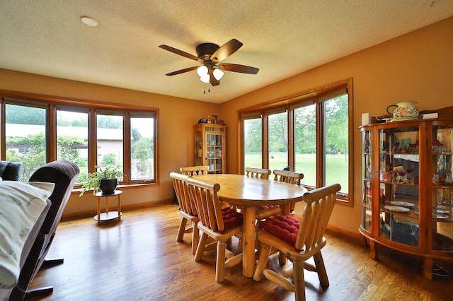39808 340th Ln, Aitkin, MN 56431 - dining space with a ceiling fan, healthy amount of natural light, light wood-style floors, and a textured ceiling