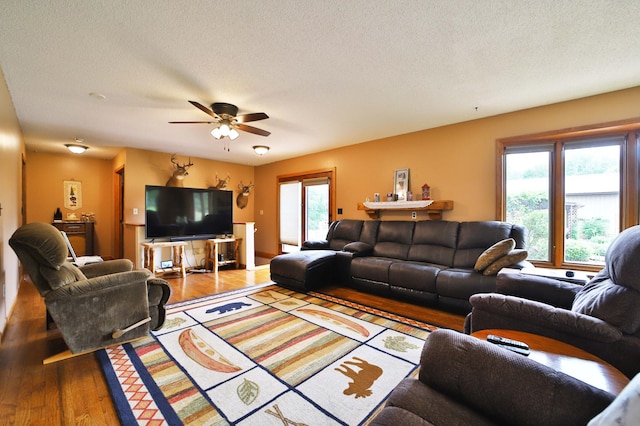 39808 340th Ln, Aitkin, MN 56431 - living room with wood finished floors, plenty of natural light, a ceiling fan, and a textured ceiling