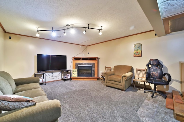 39808 340th Ln, Aitkin, MN 56431 - carpeted living area with crown molding, a fireplace, and a textured ceiling