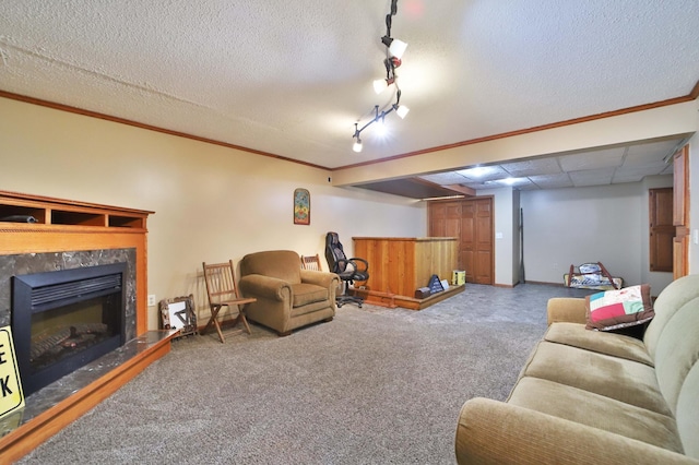 39808 340th Ln, Aitkin, MN 56431 - living area featuring rail lighting, carpet, a fireplace, and crown molding