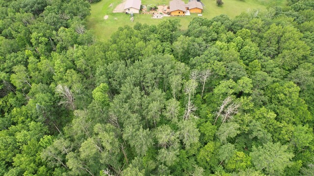 39808 340th Ln, Aitkin, MN 56431 - view of subject property featuring a heavily wooded area