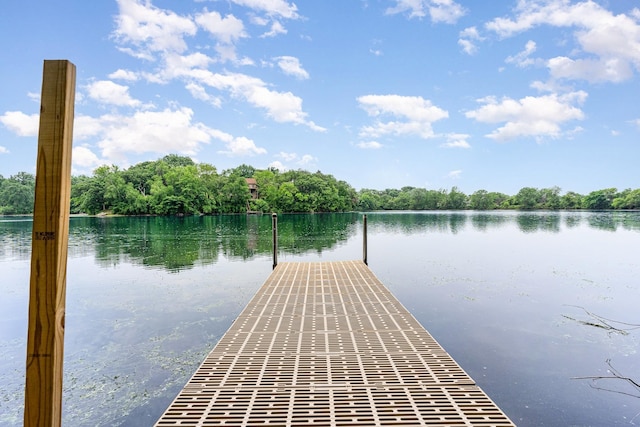 1350 Crestridge Ln, Eagan, MN 55123 - dock with a water view