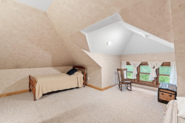 20930 St Francis Blvd NW, Nowthen, MN 55303 - bedroom with lofted ceiling and carpet