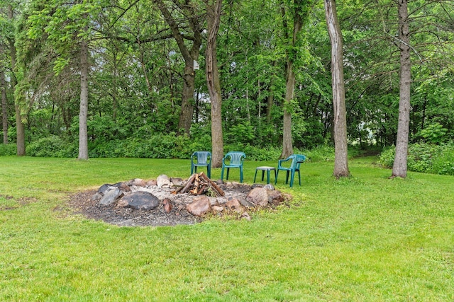 20930 St Francis Blvd NW, Nowthen, MN 55303 - view of green lawn