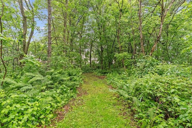 20930 St Francis Blvd NW, Nowthen, MN 55303 - view of woods