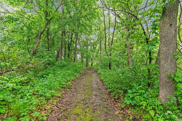 20930 St Francis Blvd NW, Nowthen, MN 55303 - view of wooded area