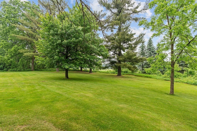 20930 St Francis Blvd NW, Nowthen, MN 55303 - view of grassy yard