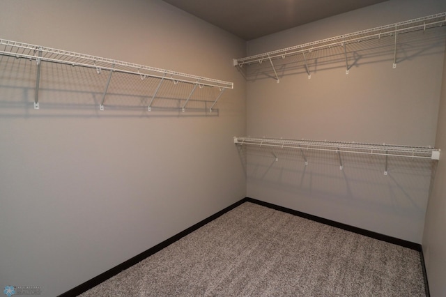737 2nd Ave, Fargo, ND 58047 - walk in closet with carpet