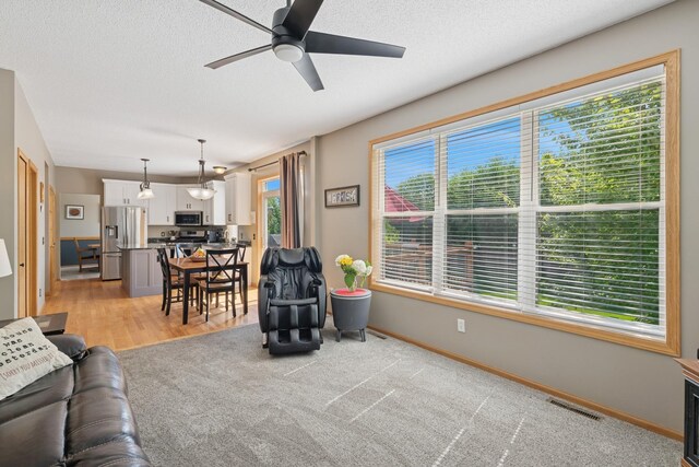 13186 Elderberry Ct, Apple Valley, MN 55124 - photo 11