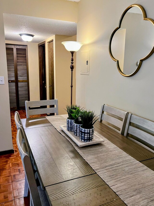 1200 Nicollet Mall Unit 205, Minneapolis, MN 55403 - dining area with electric panel and a textured ceiling
