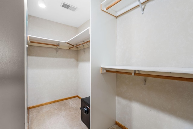 1218 4th Ave SE, Austin, MN 55912 - spacious closet with carpet floors