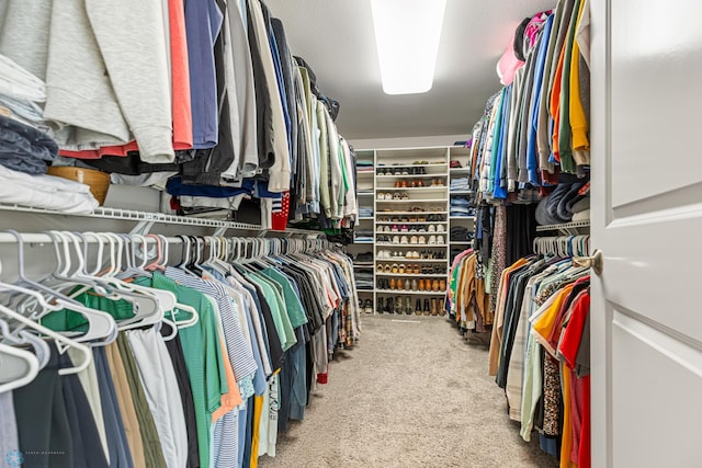 5480 Tanner Ave S, Fargo, ND 58104 - spacious closet featuring carpet flooring