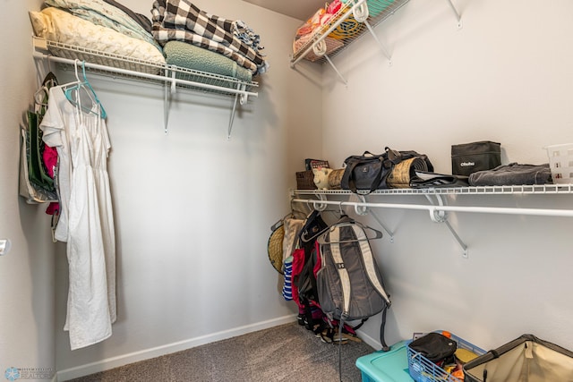 5480 Tanner Ave S, Fargo, ND 58104 - walk in closet with carpet