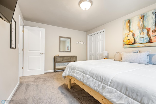5480 Tanner Ave S, Fargo, ND 58104 - bedroom with carpet and a closet