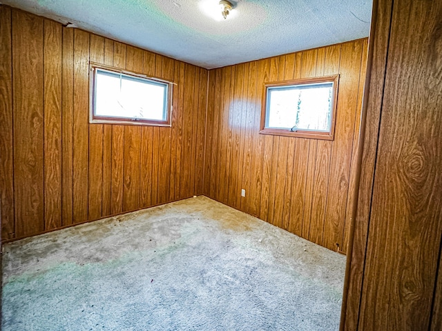 2284 15th St, Johnstown Twp, WI 54826 - empty room featuring healthy amount of natural light, a textured ceiling, carpet flooring, and wooden walls