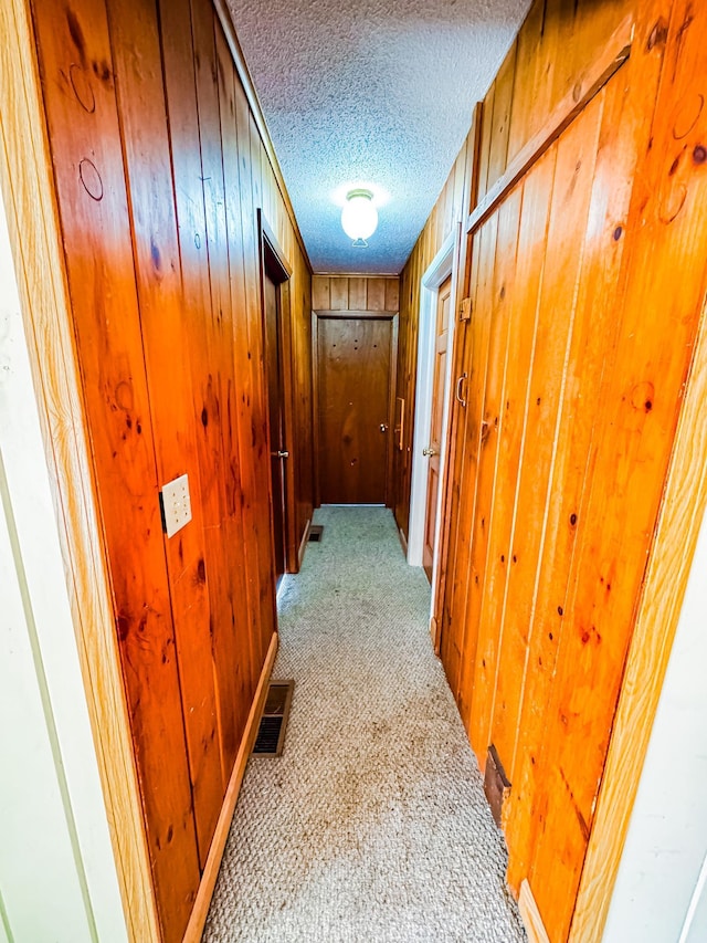 2284 15th St, Johnstown Twp, WI 54826 - hall with carpet floors, wood walls, and a textured ceiling