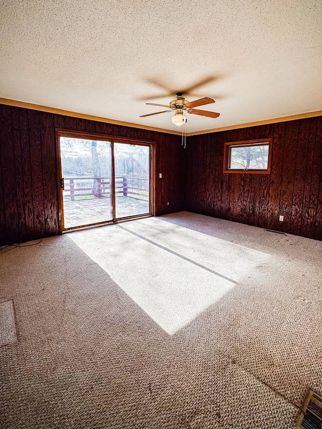 2284 15th St, Johnstown Twp, WI 54826 - empty room featuring carpet, healthy amount of natural light, wooden walls, ceiling fan, and a textured ceiling