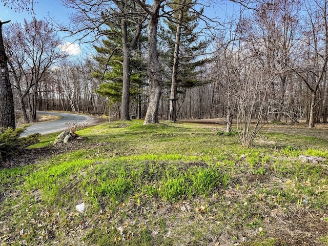 2284 15th St, Johnstown Twp, WI 54826 - view of yard