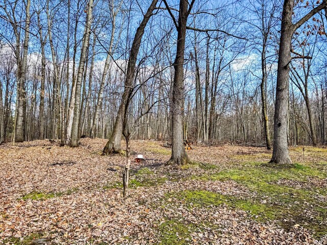 2284 15th St, Johnstown Twp, WI 54826 - view of yard with a forest view