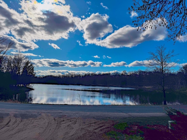 2284 15th St, Johnstown Twp, WI 54826 - water view featuring a heavily wooded area