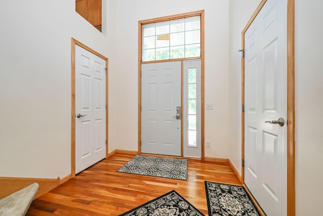 1212 Francis Dr, Elko New Market, MN 55054 - entryway with light wood finished floors and baseboards