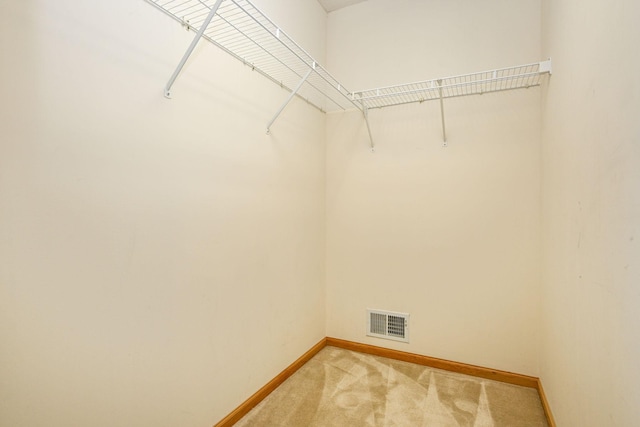 1212 Francis Dr, Elko New Market, MN 55054 - walk in closet featuring light carpet