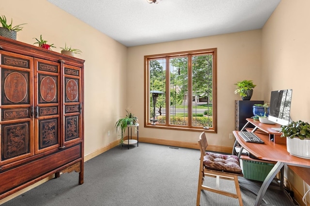 2334 Veterans Memorial Blvd NW, Andover, MN 55304 - office space with carpet flooring and baseboards