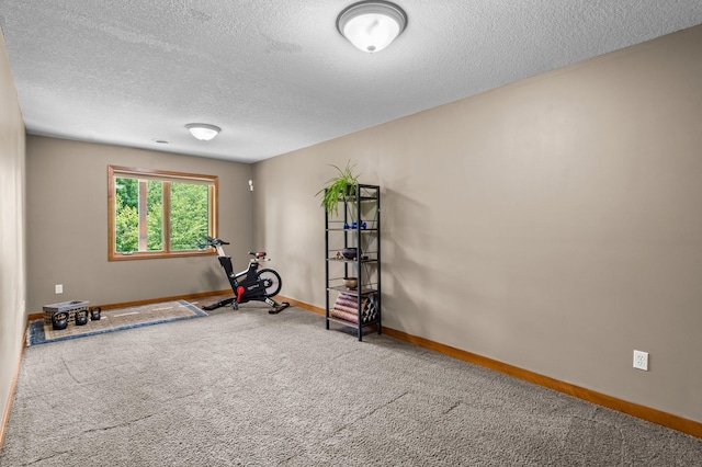 2334 Veterans Memorial Blvd NW, Andover, MN 55304 - exercise area featuring carpet and a textured ceiling