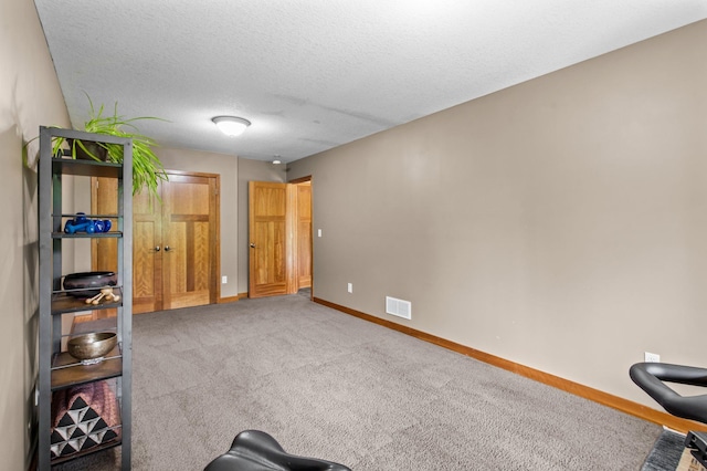 2334 Veterans Memorial Blvd NW, Andover, MN 55304 - bedroom with carpet floors and a textured ceiling