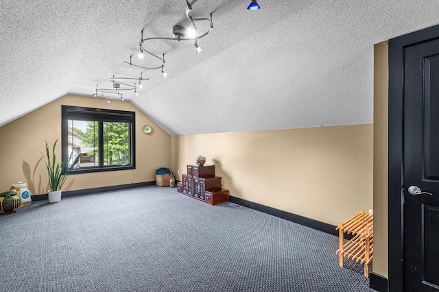 2334 Veterans Memorial Blvd NW, Andover, MN 55304 - additional living space featuring vaulted ceiling, a textured ceiling, and carpet floors